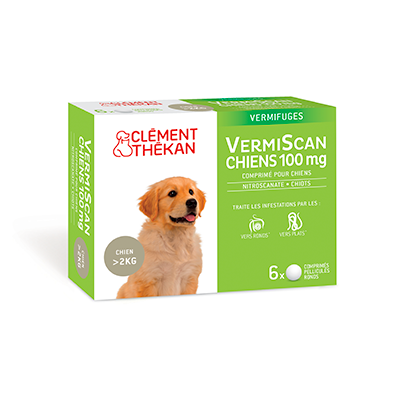 Vermiscan 100 mg vermifuge pour chiots et petits chiens 6 comprimés -  Univers-veto