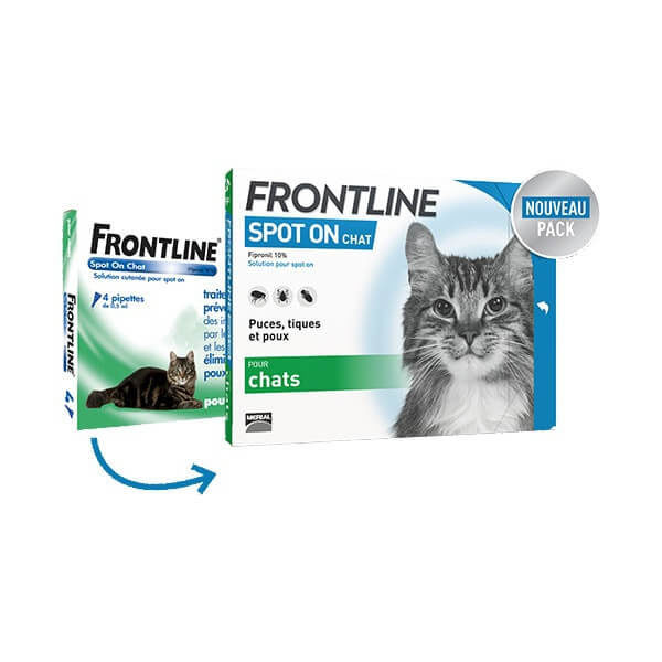 Frontline-antitique-pour-chat