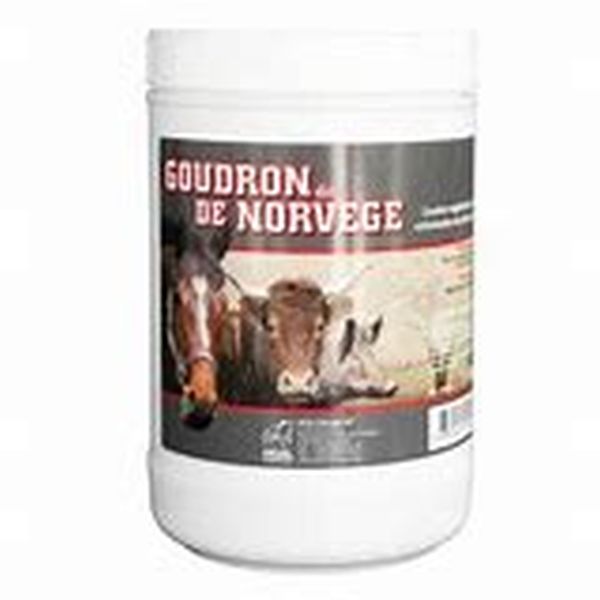 univers-veto-goudron-norvege-sabot-fourchette-chevaux