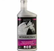 Equistro Betamag forte - flacon 1L